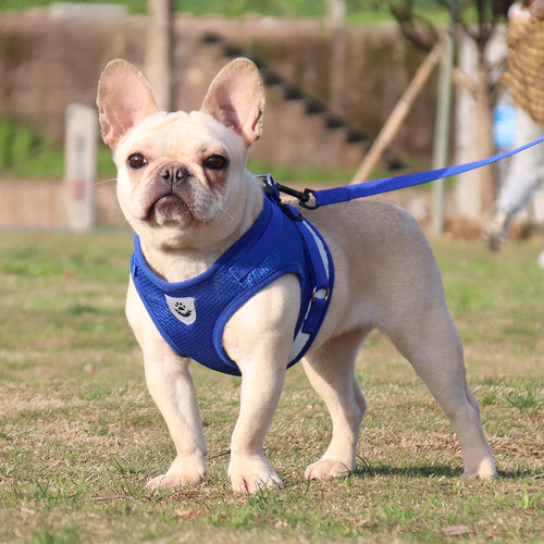The Growing Mart Adjustable Reflective Dog Chest Strap Harness for Safe Walks