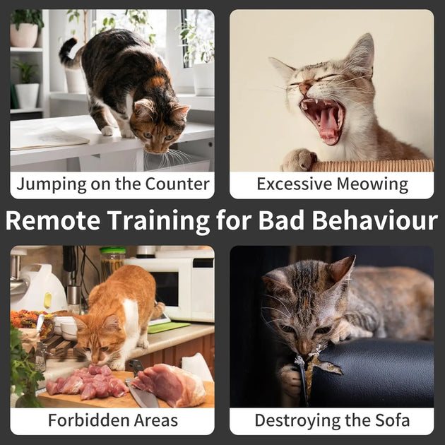 The Growing Mart Cat Training Collar – Smart Anti-Meow Behavior Control Device